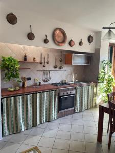 Chianti Roses Monteriggioni