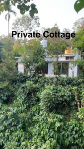 Homestay in coorg big stone hills