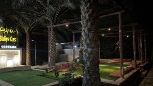 Bidiya oasis