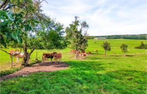 2 Bedroom Awesome Apartment In Winseler