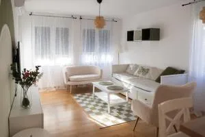 Apartman Staro Zdanje - 阿然德洛维克