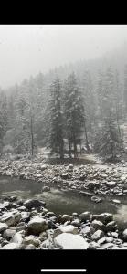 Nomaden Kasol