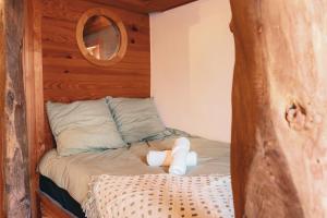 Appartements Ma bulle en ville calme en plein centre : photos des chambres