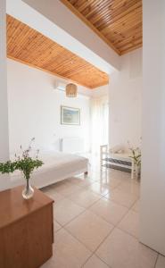 Vaios Villa LakeView 1
