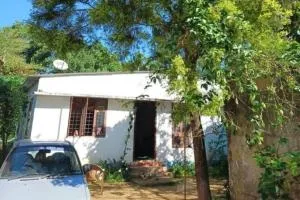 Project Remember by Maanushi Foundation - Thekkady