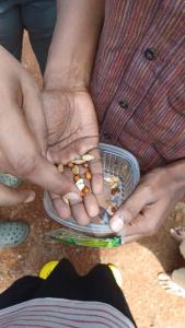 Project Remember by Maanushi Foundation