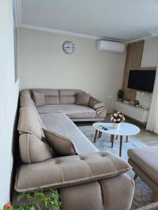 Shirokas Special Guest 1