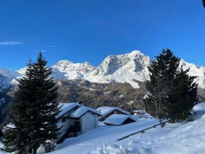 Chalet M