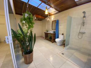 Pura Vida Boutique Apartments