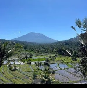 Lumbung ayu sari and spa - Bungbungan