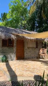 Guajiru kite safari - 伊塔雷马