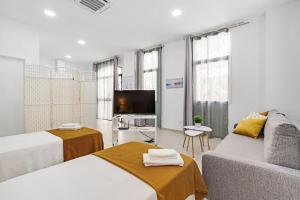 Estudio en málaga centro 45