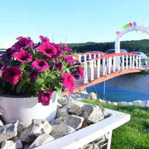 Hotel Ceaușu Resort