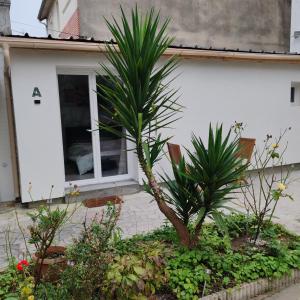 Appartements Le patio Aristide : photos des chambres