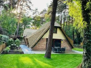 Vakantiewoning Waag - Bovenwezet