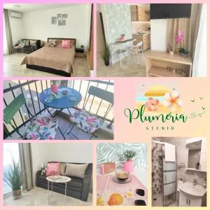 Студио Плумерия / Studio Plumeria - Popovich