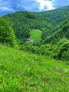 Pensiunea Valea Râsului - 萨提克