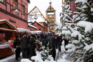 Appartements Gite Le Marronnier - au calme - parking & terrasse - pres de Colmar et Riquewihr - route des vins : photos des chambres