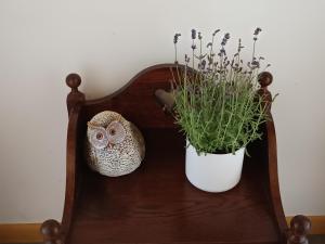 Casa tapada da branda