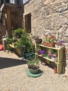 Appartements L Ancien Four a Pain : photos des chambres