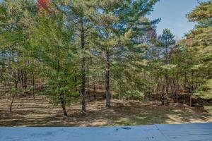 Mountain View Hideaway -- Pet Friendly, Grill, Wifi, Fire Pit, Deck, Screen Porch, Family Friendly, Game Room, Wood Stove