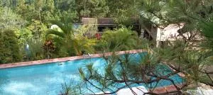 La Roca- Cabañas de montaña - Junquillo