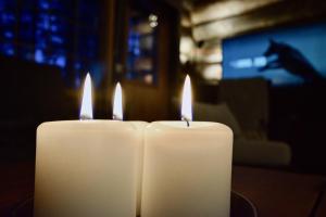 LempiRakka, 2 Levi Skipasses included, Skibus and Airport bus doorstep