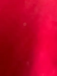 Casa aconchegante Siriú/Garopaba - 甘博阿