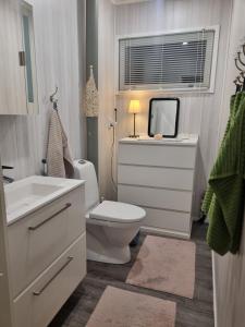 Mother Reindeer s House