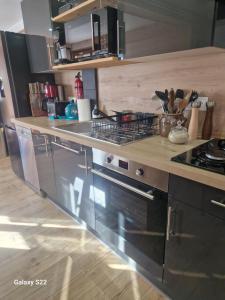 Appartements La Duchere 6 personnes Le Plan La Giettaz : photos des chambres