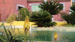 Appartements hebergement studio independant : photos des chambres