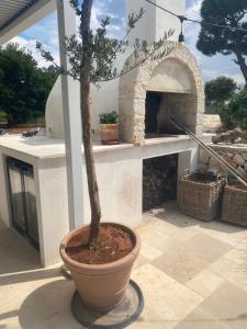 Suite avec Terrasse