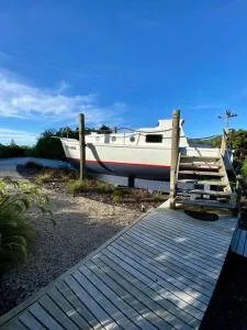 Tata Sails - 200m walk to beach - Awa-iti