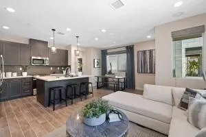 Executive New Home in South Orange County, CA - Ladera Ranch