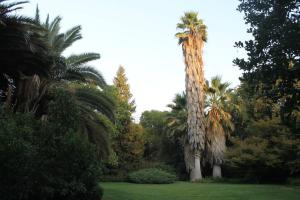 Escape al bosque! - Casa Vintage