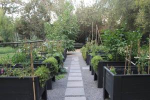 Escape al bosque! - Casa Vintage