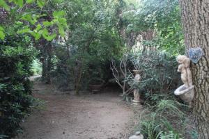 Escape al bosque! - Casa Vintage