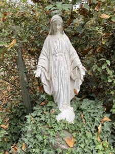 Escape al bosque! - Casa Vintage