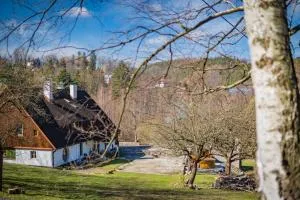 Rony Villa - In the middle of nature - 普热谢卡