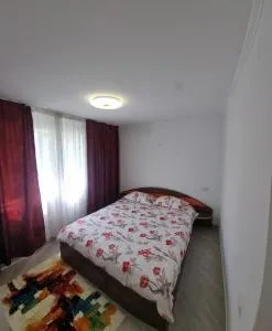 Cavnic Residence 1 - Cavnic