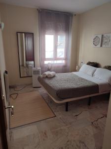 apartamentos barrio nuevo