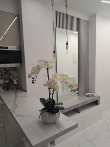 Room& Breakfast Martins Luxury Bologna