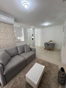 Amazonas, IBC, Aeroporto Congonhas, Expo Transamerica, PQ da Monica,, PNE, THE TOW, LOLLA PALLUZA