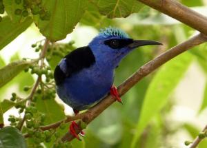 Mountain House with Pool in Altos del Maria