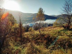 Приватна садиба Дикий Мед