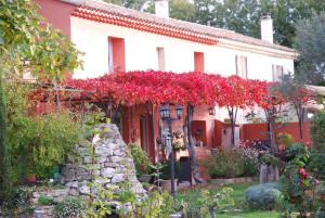 Appartements Tybolea : photos des chambres