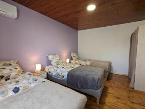 Maisons de vacances Maison spacieuse avec piscine privee, climatisation, Wi-Fi, animaux acceptes et parking - FR-1-653-268 : photos des chambres