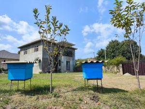 Lankaran Hot Springs Stay