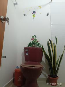 La Casa de Doña María