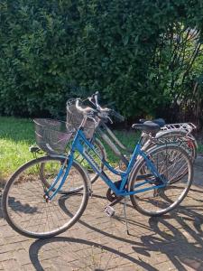 Stella di Mare - Cà Savio